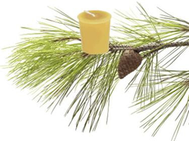 Honey Candles - Essential Votives - Candles scented with essential oils by Honey Candles - Ebambu.ca natural health product store - free shipping <59$